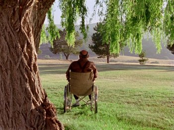 Movie still from “Gates of Heaven” (1978), directed by Errol Morris – A man sitting in a wheelchair in the grass; Wide shot, High angle
