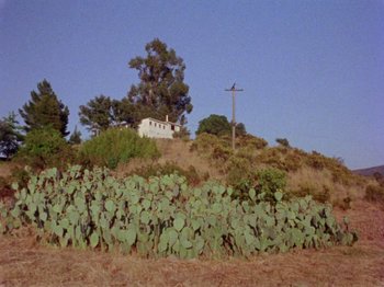 Movie still from “Gates of Heaven” (1978), directed by Errol Morris – A white house sitting on top of a hill next to a forest; Extreme Wide shot, Low angle