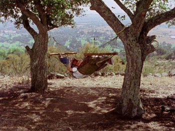 Movie still from “Gates of Heaven” (1978), directed by Errol Morris – A person is hanging in a hammock between two trees; Wide shot, High angle