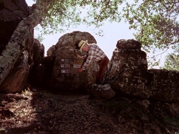 Movie still from “Gates of Heaven” (1978), directed by Errol Morris – A man in a cowboy hat standing on a rock near a tree; Wide shot, Low angle