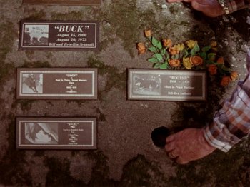 Movie still from “Gates of Heaven” (1978), directed by Errol Morris – A man standing next to some plaques on the ground; Extreme Close Up shot, Overhead angle