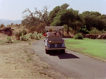 Movie still from “Gates of Heaven” (1978), directed by Errol Morris – A golf cart driving down a road near some trees; Extreme Wide shot, High angle