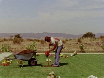 Movie still from “Gates of Heaven” (1978), directed by Errol Morris – A man is digging a hole in the grass; Wide shot, High angle