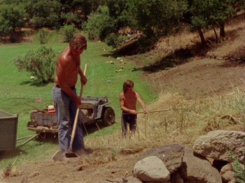 Movie still from “Gates of Heaven” (1978), directed by Errol Morris – A man and a woman working in a field; Wide shot, High angle