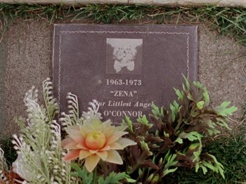 Movie still from “Gates of Heaven” (1978), directed by Errol Morris – A memorial plaque with flowers in the grass; Extreme Close Up shot, Overhead angle