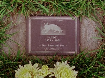 Movie still from “Gates of Heaven” (1978), directed by Errol Morris – A plaque with a picture of an animal on it; Extreme Close Up shot, Overhead angle