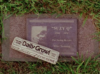 Movie still from “Gates of Heaven” (1978), directed by Errol Morris – A newspaper laying next to a grave marker; Extreme Close Up shot, High angle
