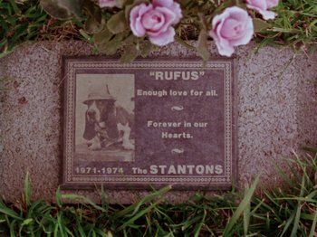 Movie still from “Gates of Heaven” (1978), directed by Errol Morris – A grave marker with a picture of a dog on it; Extreme Close Up shot, Overhead angle
