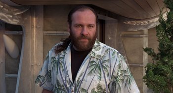 Movie still from “Get Shorty” (1995), directed by Barry Sonnenfeld – A man with a long beard wearing a hawaiian shirt with palm trees; Close Up shot, Low angle