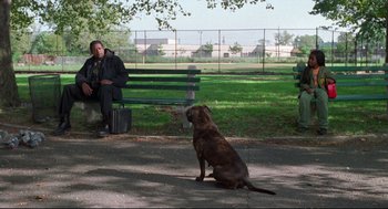 Movie still from “Ghost Dog: The Way of the Samurai” (1999), directed by Jim Jarmusch – A man sitting on a park bench next to a brown dog; Wide shot, Over the shoulder angle