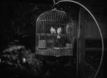 Movie still from “Godzilla” (1954), directed by Ishirô Honda – Two birds are in a bird cage on a post; Extreme Close Up shot, High angle
