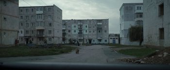 Movie still from “Graduation” (2016), directed by Cristian Mungiu – A dog standing in the middle of an empty street; Extreme Wide shot, Low angle