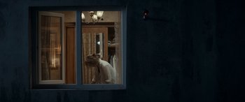 Movie still from “Graduation” (2016), directed by Cristian Mungiu – A woman looking out of a window in a dark room; Medium shot, High angle