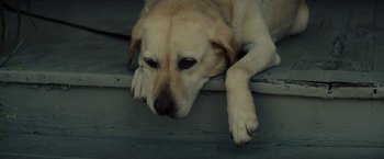 Movie still from “Gran Torino” (2008), directed by Clint Eastwood – Close Up shot, Low angle