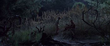 Movie still from “Great Expectations” (1998), directed by Alfonso Cuarón – A man and a child in a field at night; Wide shot, High angle