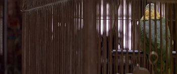 Movie still from “Great Expectations” (1998), directed by Alfonso Cuarón – View of a wooden fence with bars; Extreme Close Up shot, Low angle