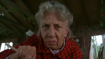 Movie still from “Grumpier Old Men” (1995), directed by Howard Deutch – An old woman with a sad look on her face; Close Up shot, Low angle