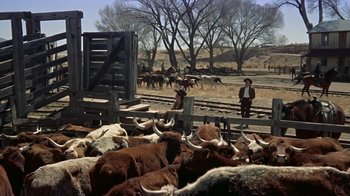 Movie still from “Gunfight at the O.K. Corral” (1957), directed by John Sturges – A herd of cattle being herded by men; Wide shot, Low angle
