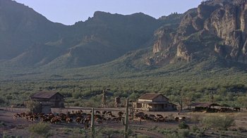 Movie still from “Gunfight at the O.K. Corral” (1957), directed by John Sturges – A herd of cattle grazing on a dry grass field; Extreme Wide shot, High angle