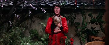 Movie still from “Gypsy” (1962), directed by Mervyn LeRoy – A woman holding a small dog in her arms; Medium shot, High angle