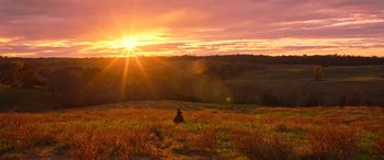 Movie still from “Harriet” (2019), directed by Kasi Lemmons – A person sitting in the middle of a field at sunset; Extreme Wide shot, High angle