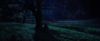 Movie still from “Harriet” (2019), directed by Kasi Lemmons – A woman standing next to a tree at night; Extreme Wide shot, High angle