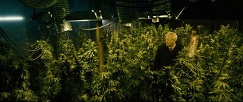 Movie still from “Harry Brown” (2009), directed by Daniel Barber – A man standing in a room filled with marijuana plants; Wide shot, High angle