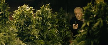 Movie still from “Harry Brown” (2009), directed by Daniel Barber – A man taking a picture of some marijuana plants; Medium shot, Low angle