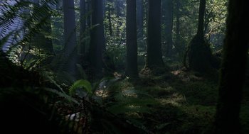 Movie still from “Harry and the Hendersons” (1987), directed by William Dear – A lush green forest filled with trees and ferns; Extreme Wide shot, High angle