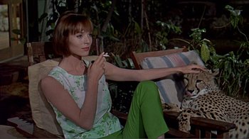 Movie still from “Hatari!” (1962), directed by Howard Hawks – A woman sitting on a chair holding a cigarette in her hand; Medium shot, Low angle