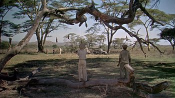 Movie still from “Hatari!” (1962), directed by Howard Hawks – Two men standing in the middle of a field under a tree; Wide shot, Low angle