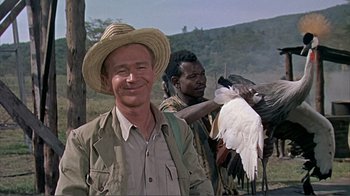 Movie still from “Hatari!” (1962), directed by Howard Hawks – A man with a hat on holding a bird in his hand; Medium shot, Low angle