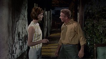 Movie still from “Hatari!” (1962), directed by Howard Hawks – A man and a woman talking to each other; Medium shot, Low angle