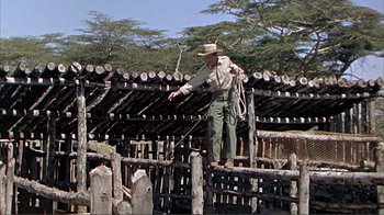 Movie still from “Hatari!” (1962), directed by Howard Hawks – An old man standing on top of a wooden fence; Wide shot, Low angle