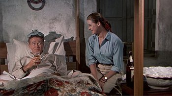 Movie still from “Hatari!” (1962), directed by Howard Hawks – A man and a woman sitting in a bed; Medium shot, High angle