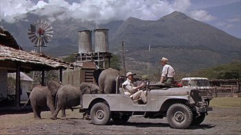 Movie still from “Hatari!” (1962), directed by Howard Hawks – Two men are driving a truck with elephants; Wide shot, Low angle