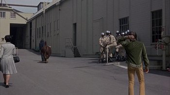 Movie still from “Head” (1968), directed by Bob Rafelson – A cow that is walking down the street; Wide shot, High angle