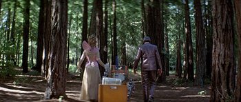 Movie still from “Heartbeeps” (1981), directed by Allan Arkush – A man and a woman walking through the woods; Wide shot, Low angle