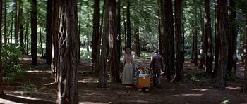 Movie still from “Heartbeeps” (1981), directed by Allan Arkush – A man and a woman walking through the woods; Wide shot, High angle