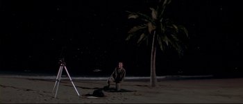 Movie still from “Heartbreakers” (2001), directed by David Mirkin – A man kneeling on the beach under a palm tree at night; Extreme Wide shot, High angle