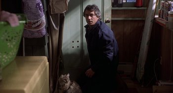 Movie still from “Home for the Holidays” (1995), directed by Jodie Foster – A man standing next to a cat in a room; Medium shot, Over the shoulder angle
