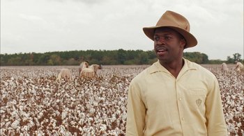 Movie still from “Honeydripper” (2007), directed by John Sayles – A man standing in the middle of a cotton field; Medium shot, Over the shoulder angle