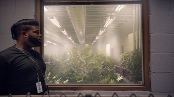 Movie still from “How High 2” (2019), directed by Bruce Leddy – A man standing next to a window in a room filled with marijuana plants; Medium shot, Over the shoulder angle