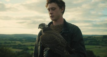 Movie still from “How I Live Now” (2013), directed by Kevin Macdonald – A young man holding a hawk on his arm; Close Up shot, Low angle