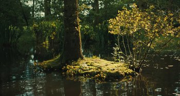 Movie still from “How I Live Now” (2013), directed by Kevin Macdonald – A tree in the middle of a body of water; Extreme Wide shot, High angle