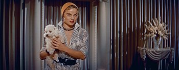 Movie still from “How to Marry a Millionaire” (1953), directed by Jean Negulesco – A woman holding a white cat in her arms; Medium shot, Low angle