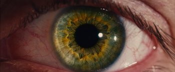 Movie still from “I Origins” (2014), directed by Mike Cahill – A person's eye with the iris of the eye open; Extreme Close Up shot, Overhead angle