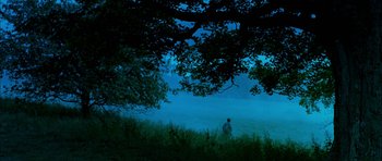 Movie still from “I'm Not There” (2007), directed by Todd Haynes – A person standing in a field under a tree; Extreme Wide shot, High angle