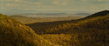 Movie still from “I'm Not There” (2007), directed by Todd Haynes – A view of a forest from a hill; Extreme Wide shot, High angle
