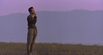 Movie still from “Il Mare” (2000), directed by Hyun-seung Lee – A man standing in a field while holding a cell phone to his mouth; Wide shot, Low angle